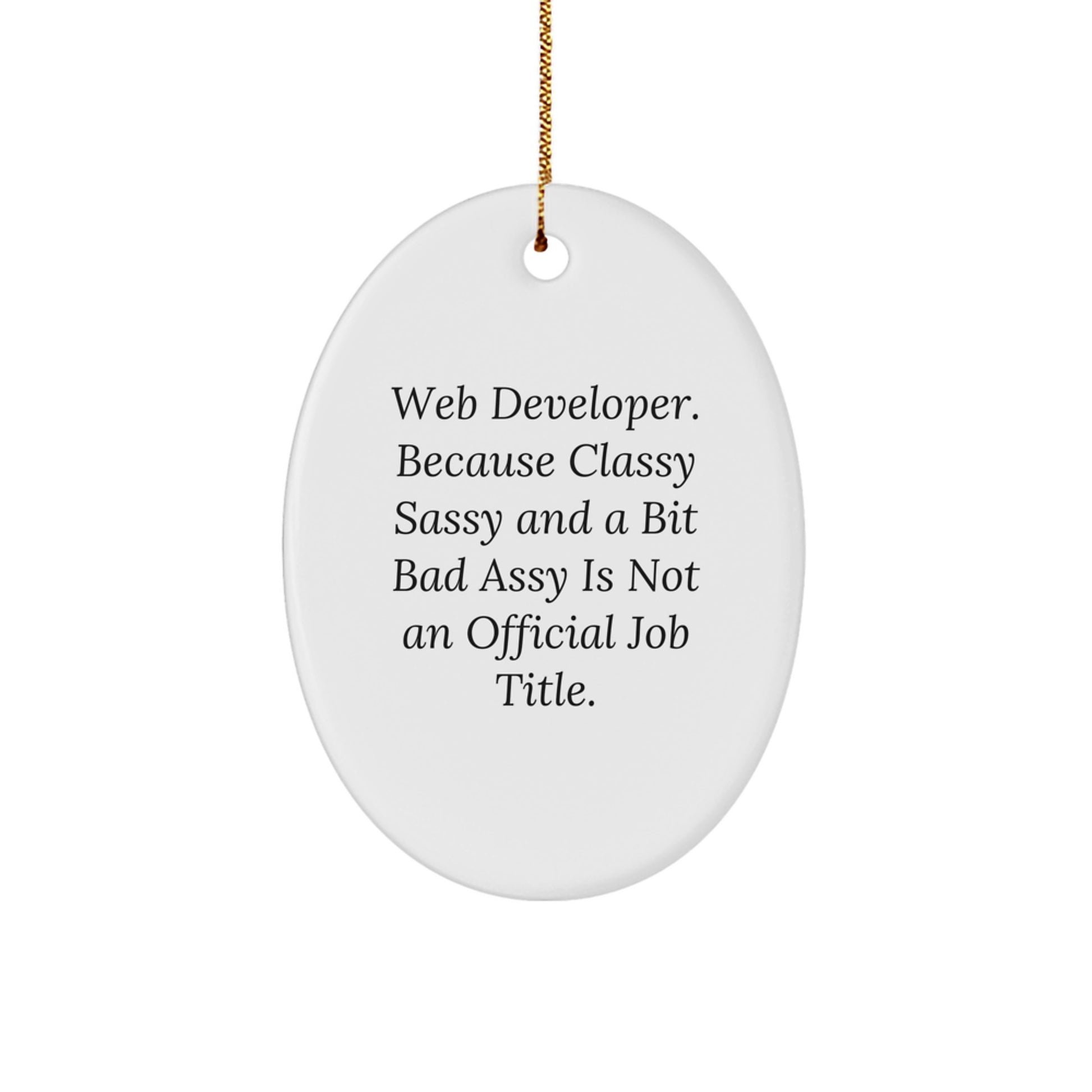 Funny Web Developer Oval Ornament Gifts from Friends for Men, Unique Christmas Unique Gifts Ideas for Web Developer, Oval Shaped Decorations - Image 1