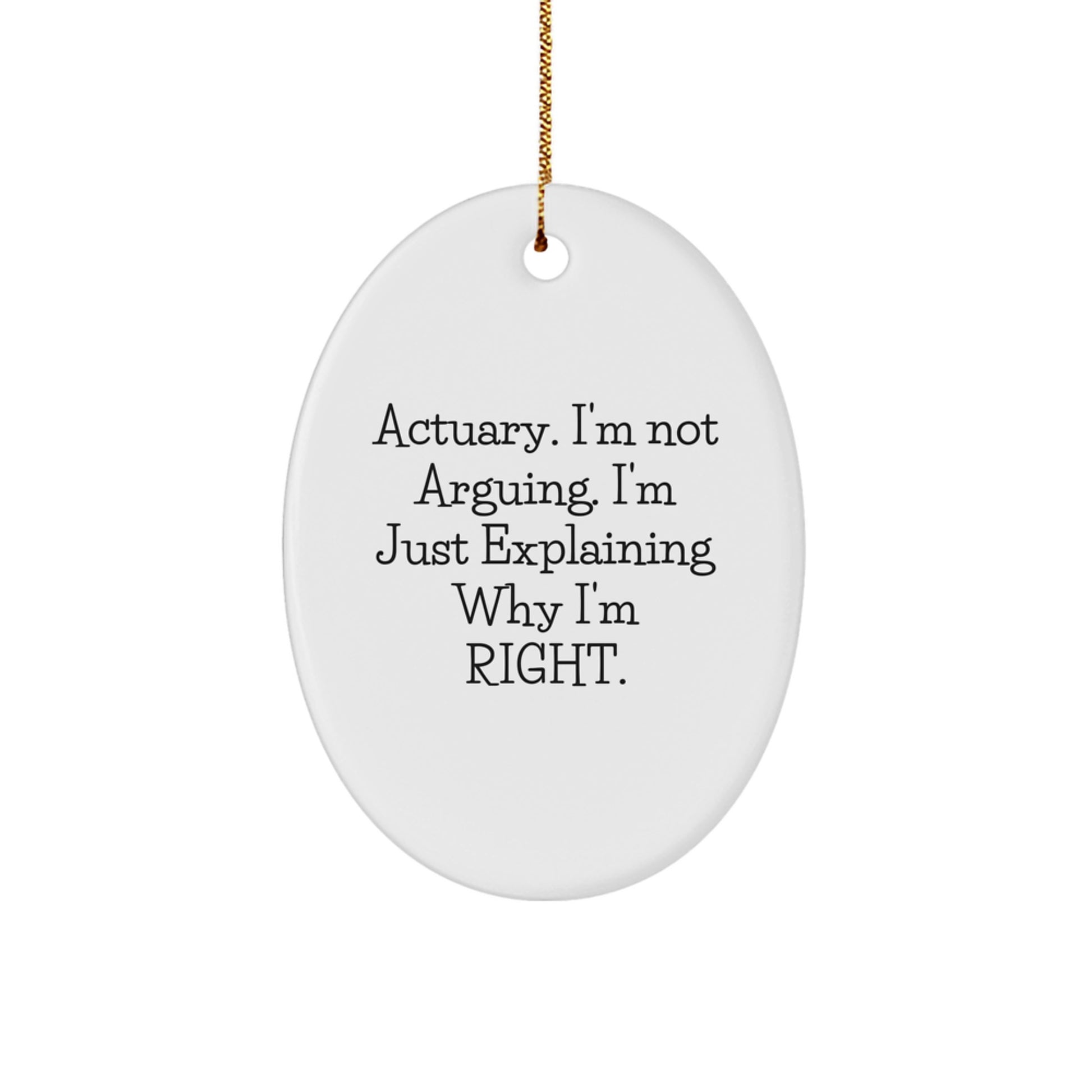 Funny Actuary Quotes Oval Ornament Gifts from Men to Friends, Christmas Unique Gifts for Actuary, Oval Shaped Decorative Item - Image 1