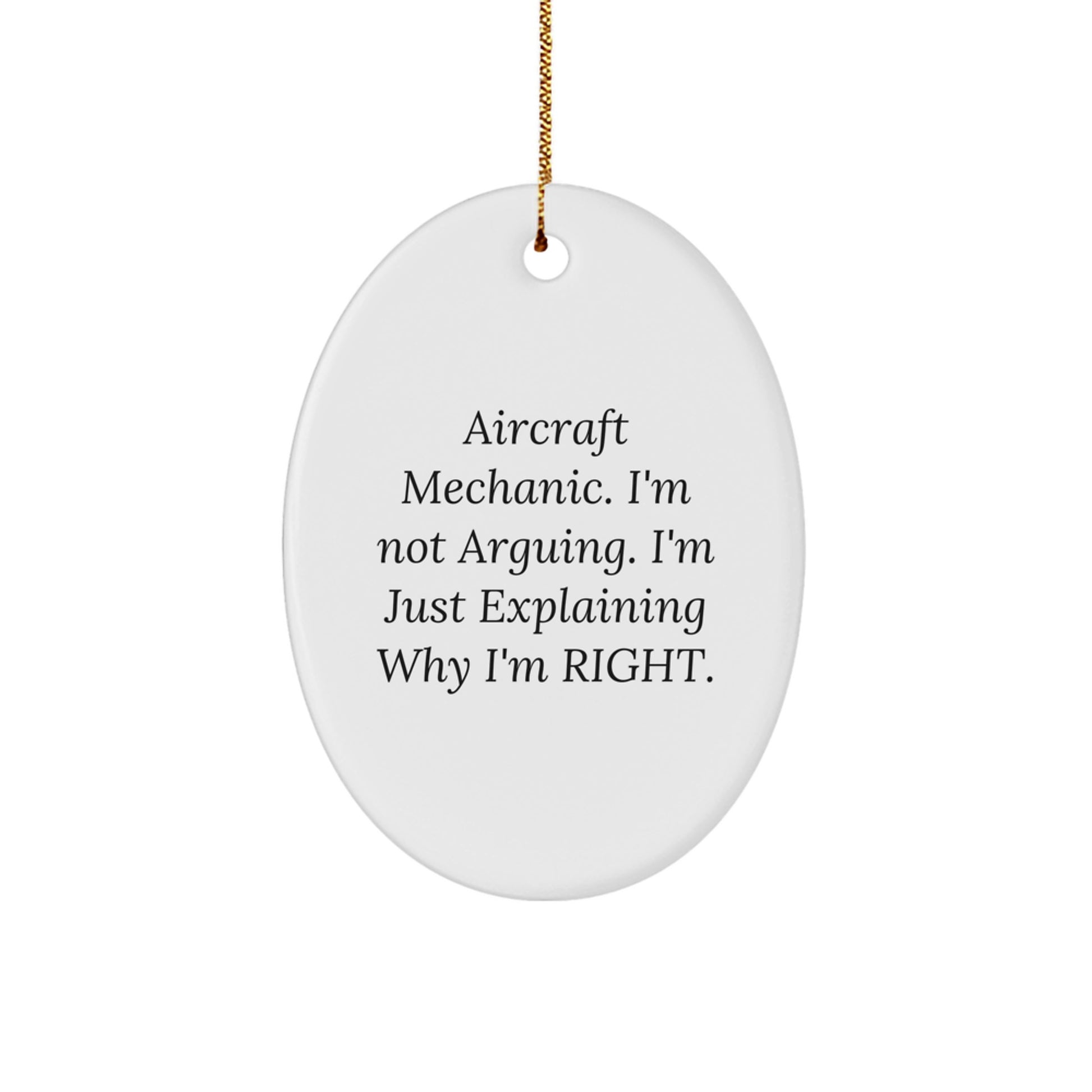 Aircraft Mechanic Humor Oval Ornament Gifts from Friends for Christmas Unique Decorations - Image 1