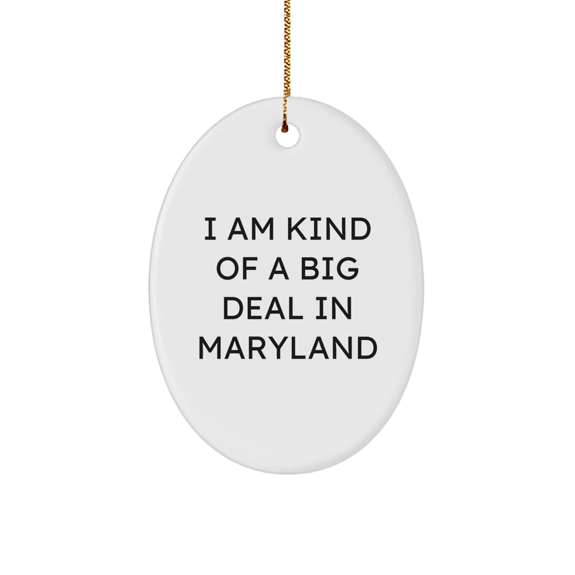 'I Am Kind Of A Prime Selection', Funny Maryland Oval Ornament, Gifts from Friends for Family in Maryland, Christmas Unique Gifts - Image 1
