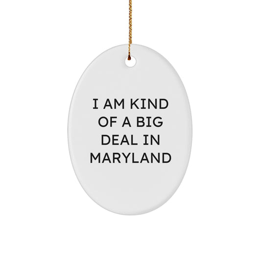 'I Am Kind Of A Prime Selection', Funny Maryland Oval Ornament, Gifts from Friends for Family in Maryland, Christmas Unique Gifts - Image 1