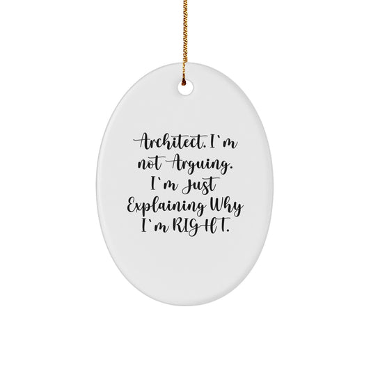 Funny Architect Gifts from Men to Friends, Oval Ornament for Christmas Unique Gifts for Coworkers, Inspirational Quote - Image 1