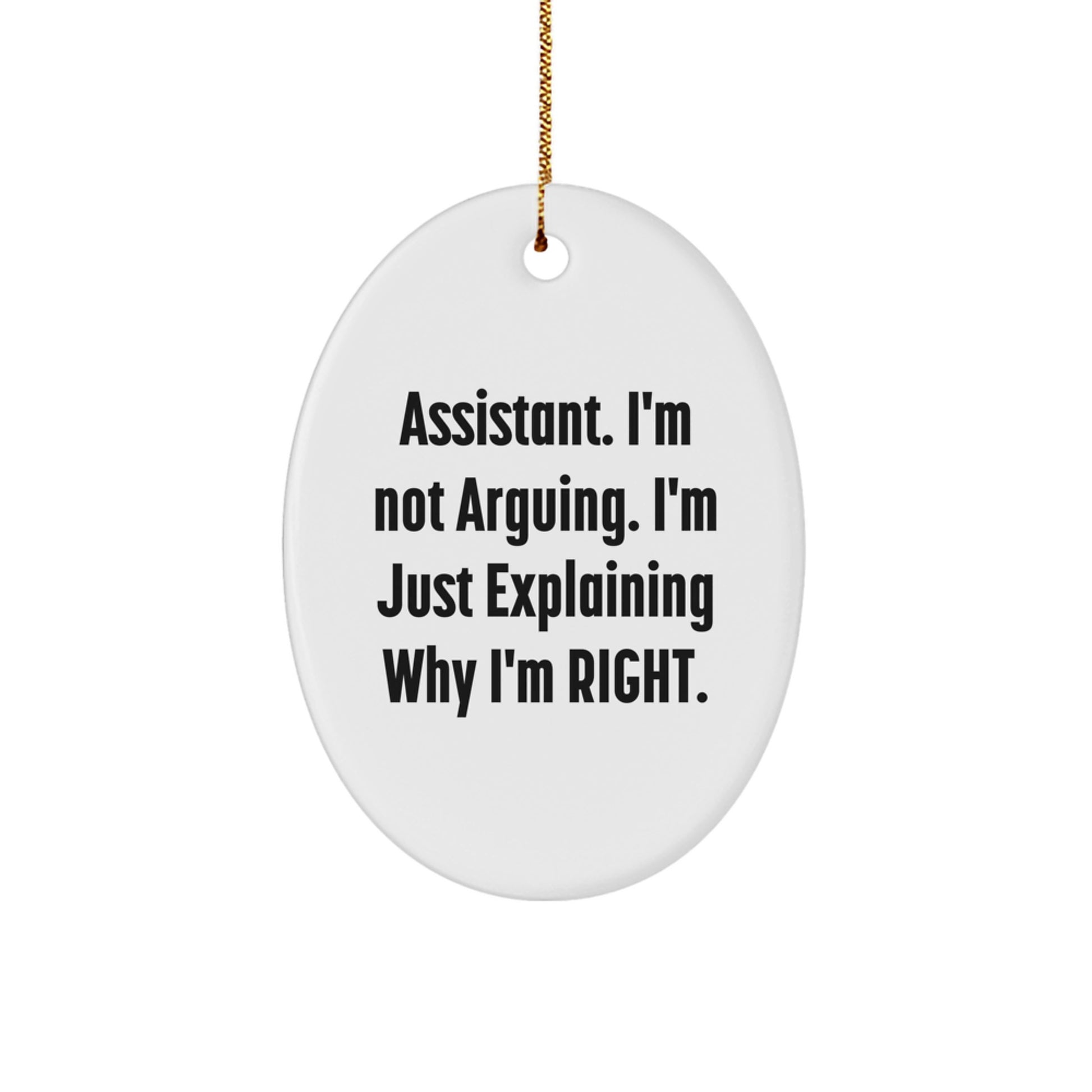 Funny Assistant Gifts for Office Coworkers, Oval Ornament, Christmas Unique Gifts from Friends, Assistant Saying 'I'm Not Arguing, I'm Just Explaining Why I'm Right',
 - Image 1