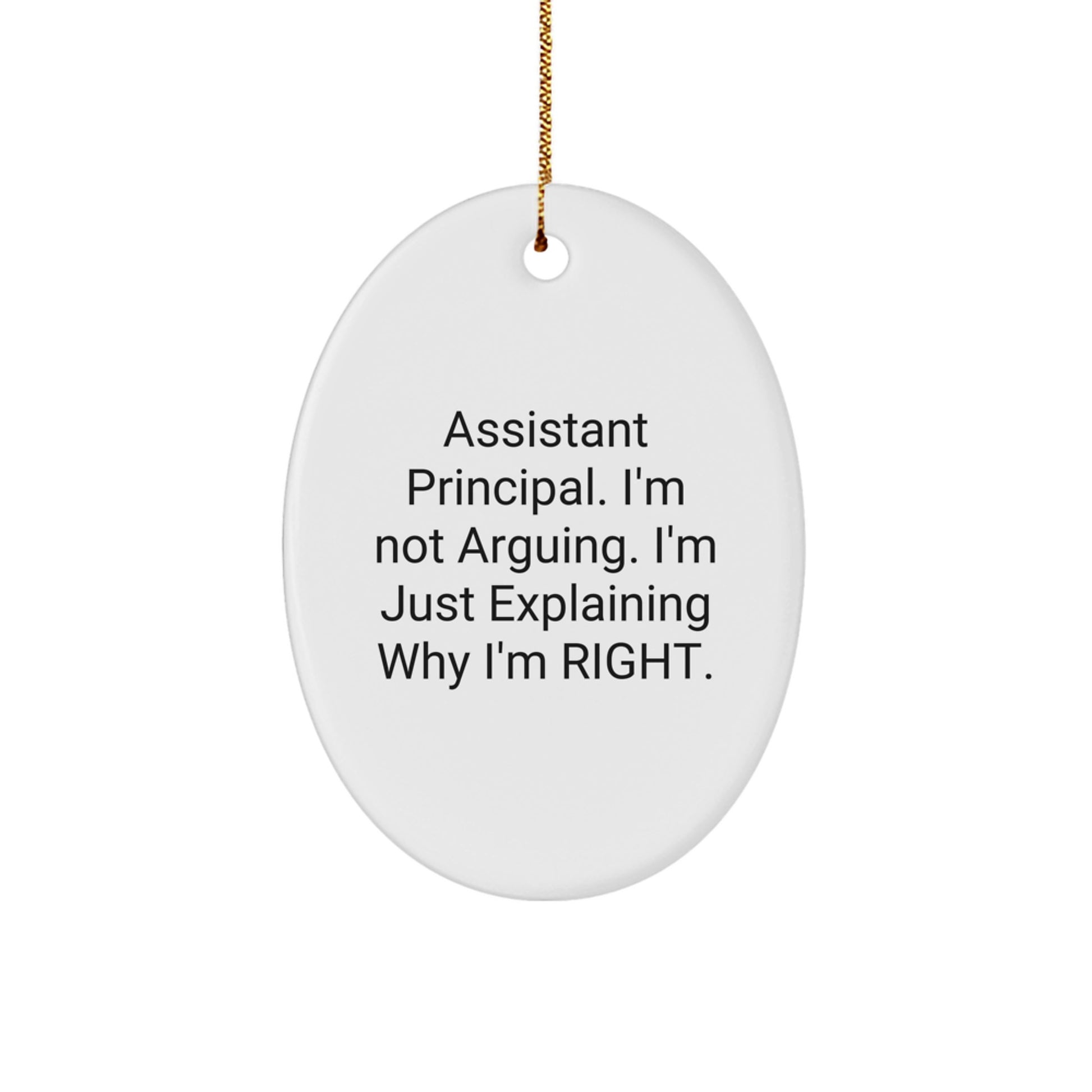 Funny Assistant Principal Gifts for Men - Oval Ornament Christmas Unique Decorations from Friends - Gifts for Assistant Principal Men - Image 1