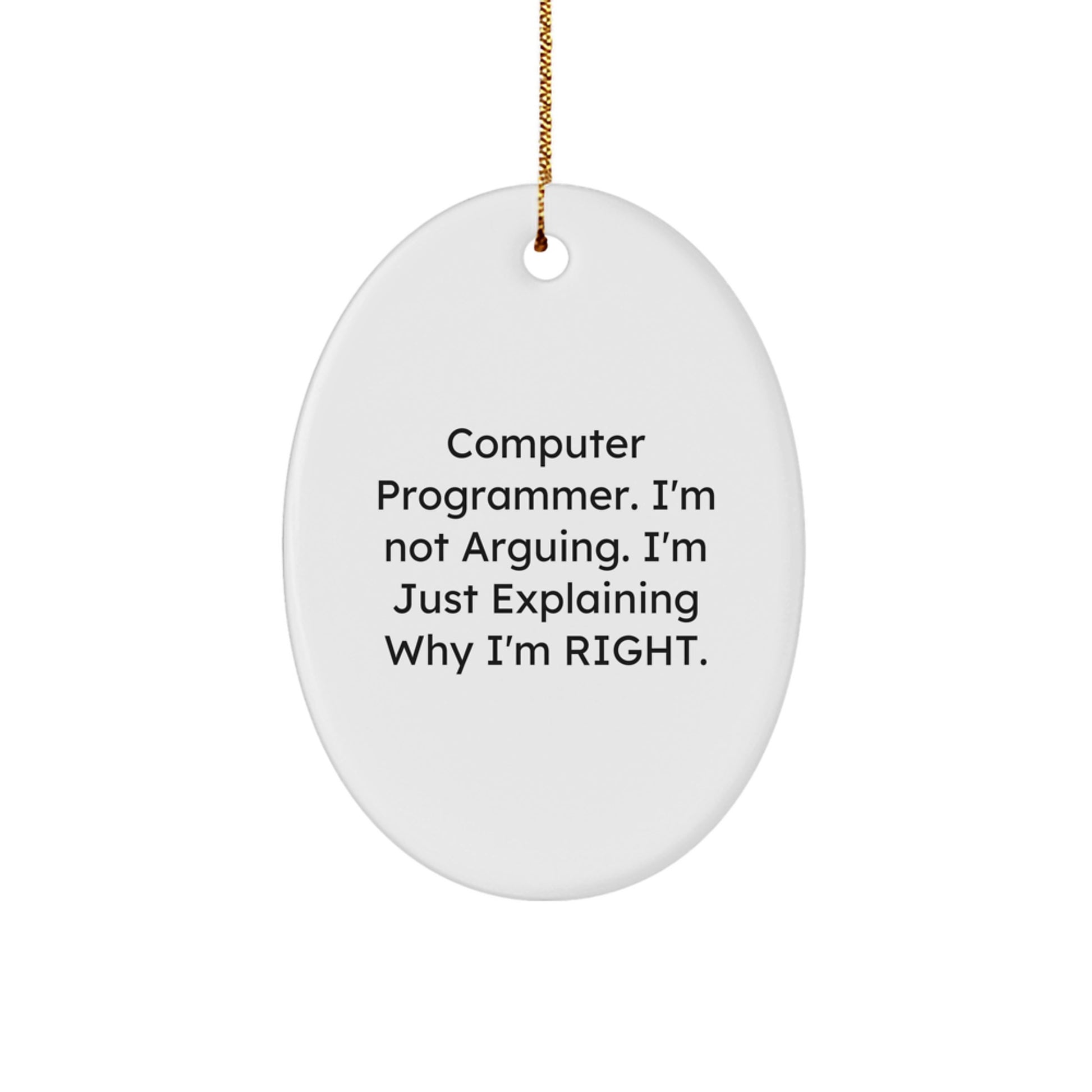 Computer Programmer Humor Oval Ornament, Funny Quote Gifts for Men from Friends, White Oval Shaped MDF with High-Gloss Finish, Perfect for Christmas Decor - Image 1