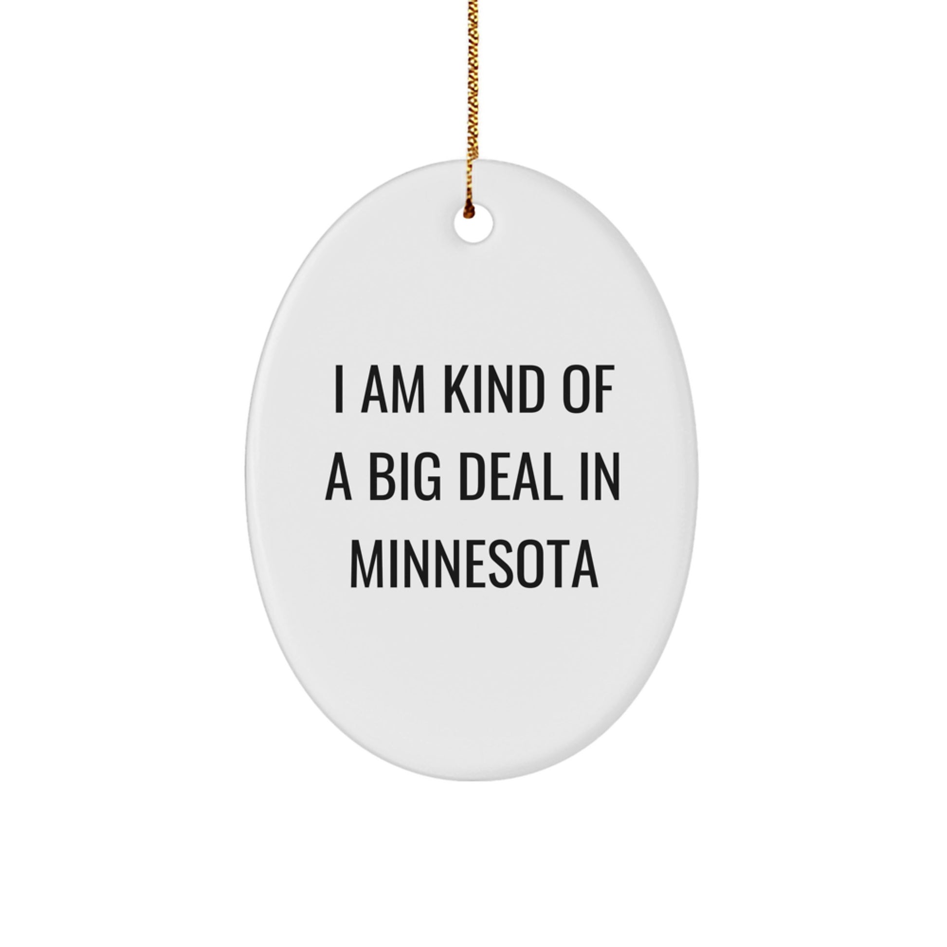 Funny Minnesota Oval Ornament - Gifts from Friends for Family in Minnesota - Image 1