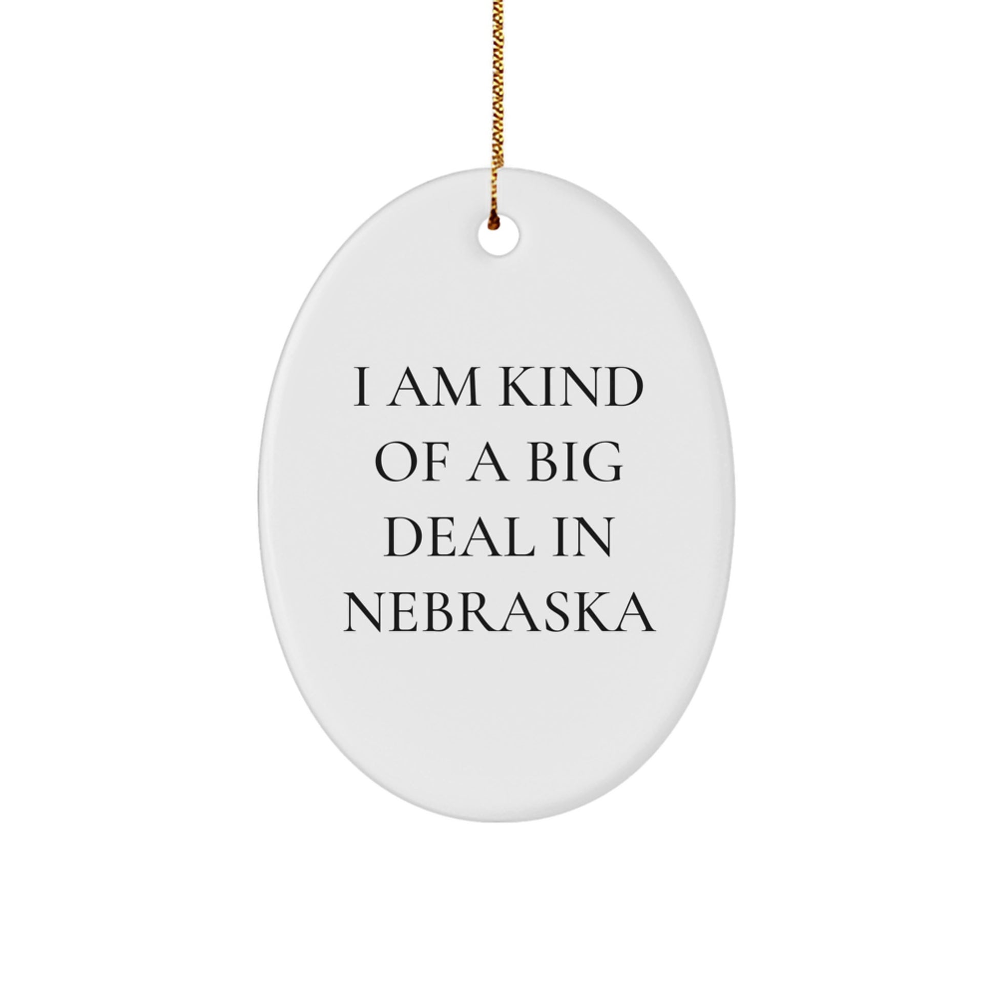 Nebraska Oval Ornament Gifts for Men from Friends, Funny Quote, Unique Christmas Decorations - Image 1