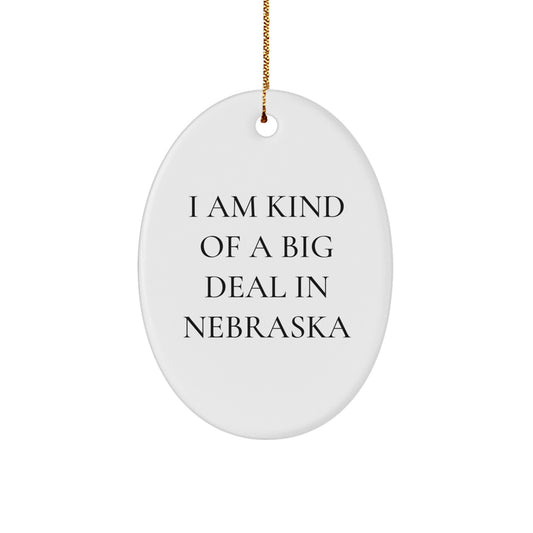 Nebraska Oval Ornament Gifts for Men from Friends, Funny Quote, Unique Christmas Decorations - Image 1