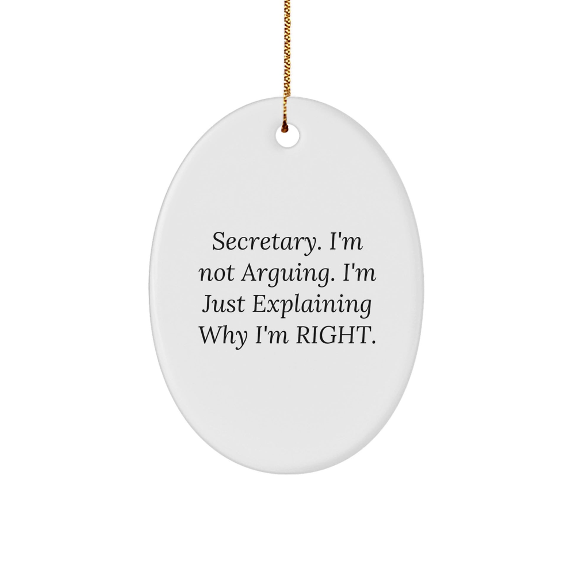 Funny Secretary Gifts from Men to Women Oval Ornament for Christmas Unique Presents - Image 1