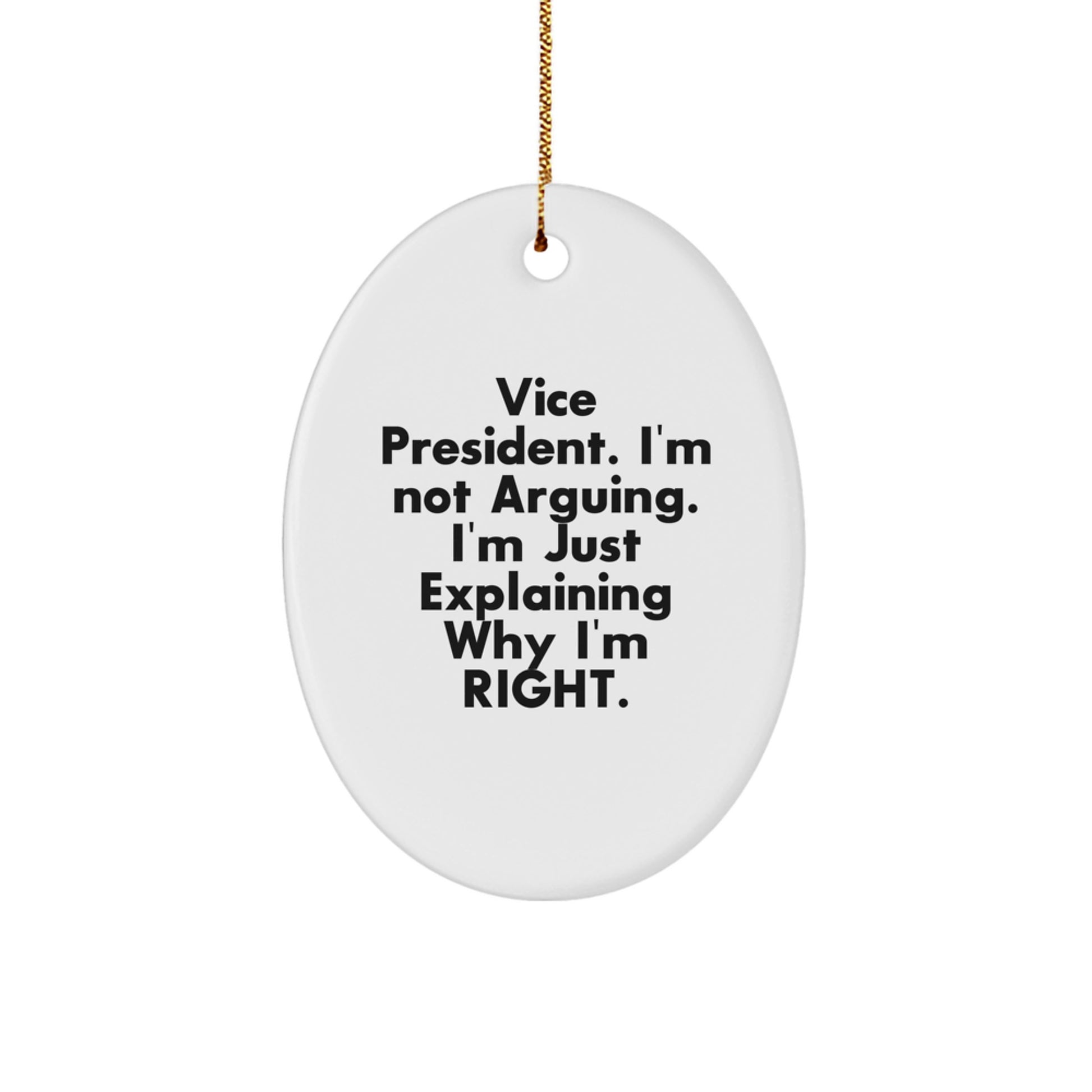 Funny Vice President Oval Ornament Gift for Men from Friends, Unique Christmas Office Decorations with Inspirational Quote, Perfect for Vice President Gifts - Image 1