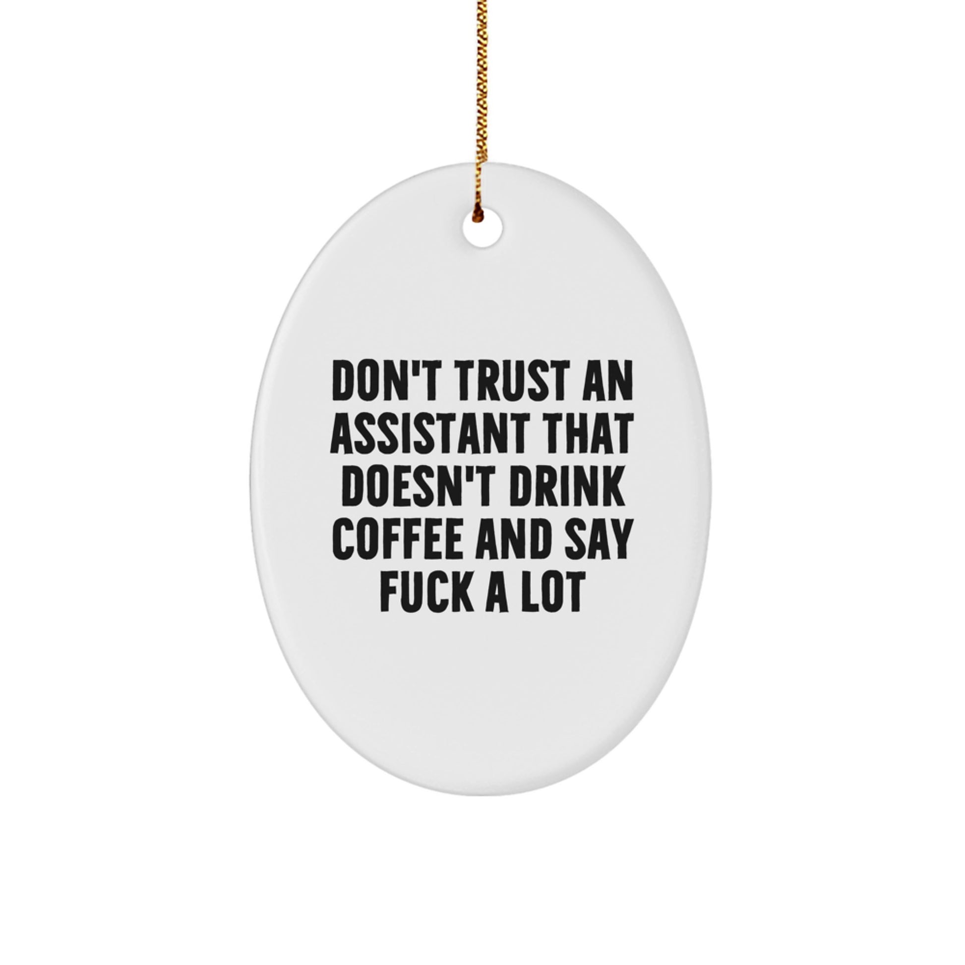 Funny Assistant Oval Ornament Gifts from Men to Assistants for Christmas Unique Presents - Image 1