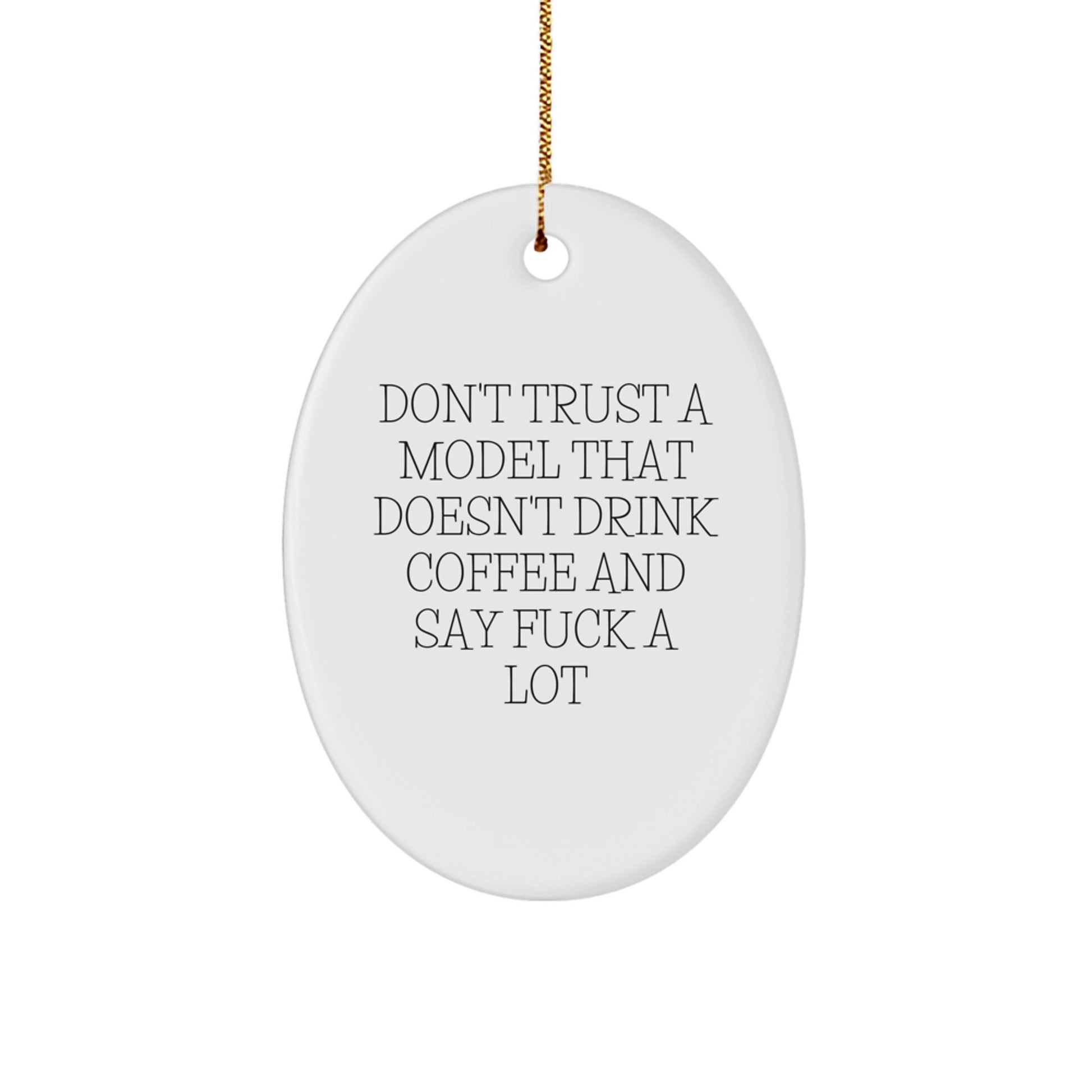 Funny Model Gifts from Friends, Christmas Unique Gifts for Model Enthusiasts, Model Oval Ornament - Image 1