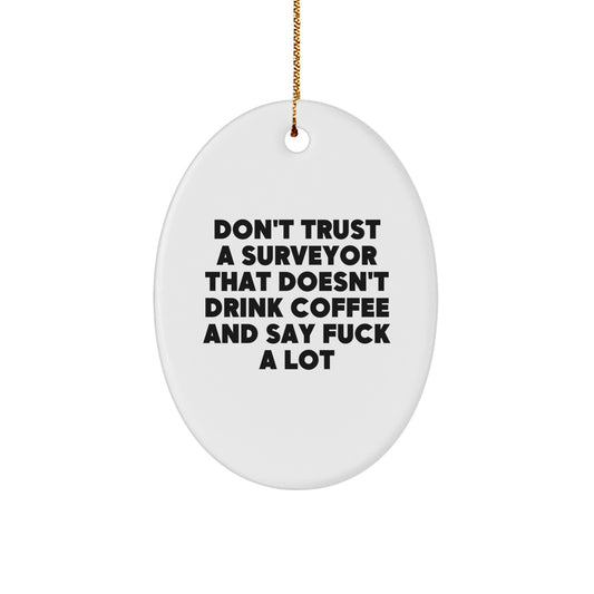 Funny Surveyor Christmas Unique Gifts from Friends - Oval Ornament for Surveyor Men - White Oval Shaped Design with Sublimation Printing - Image 1