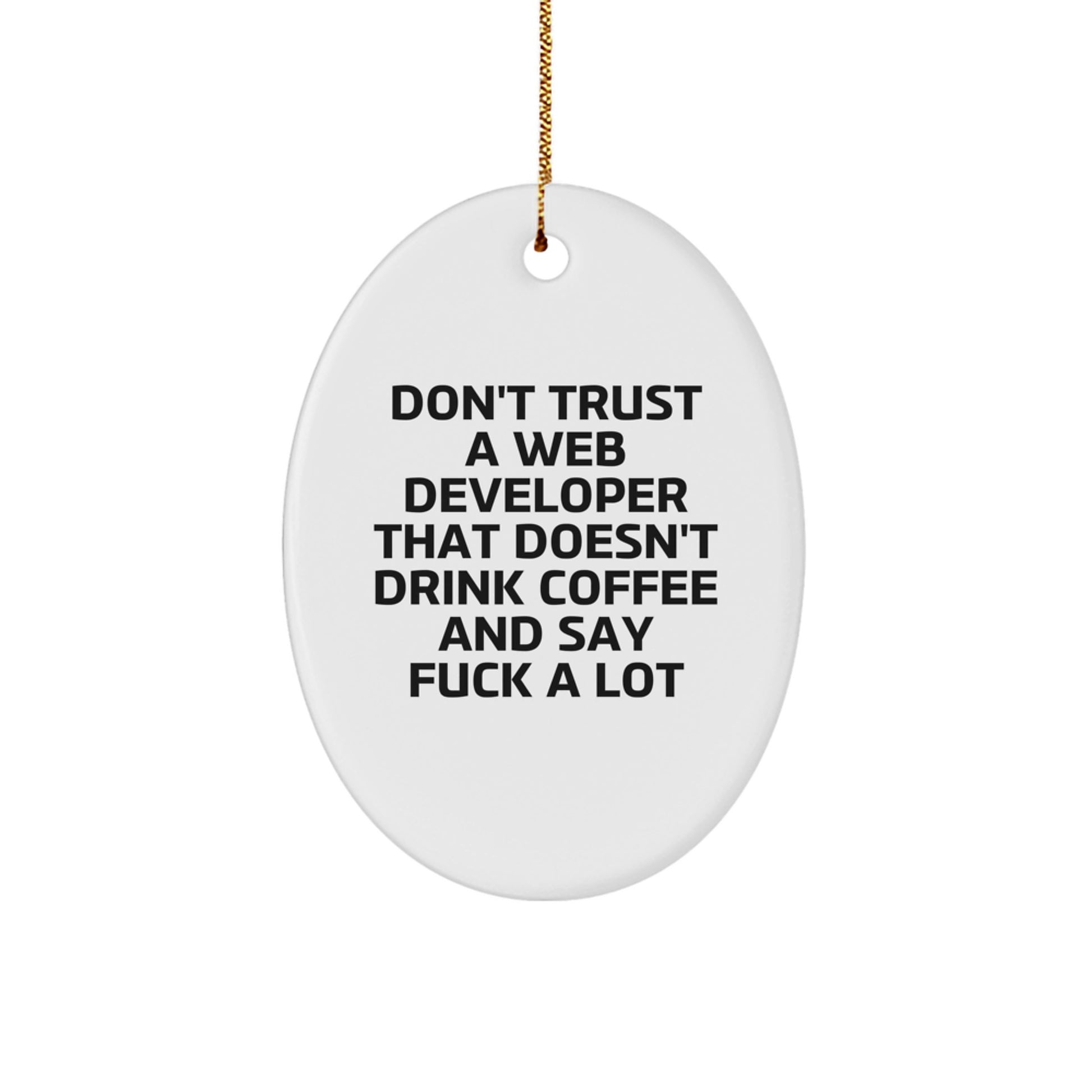 Funny Web Developer Oval Ornament Gifts from Friends for Men, Christmas Unique - Image 1