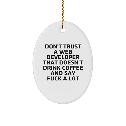 Funny Web Developer Oval Ornament Gifts from Friends for Men, Christmas Unique - Image 1