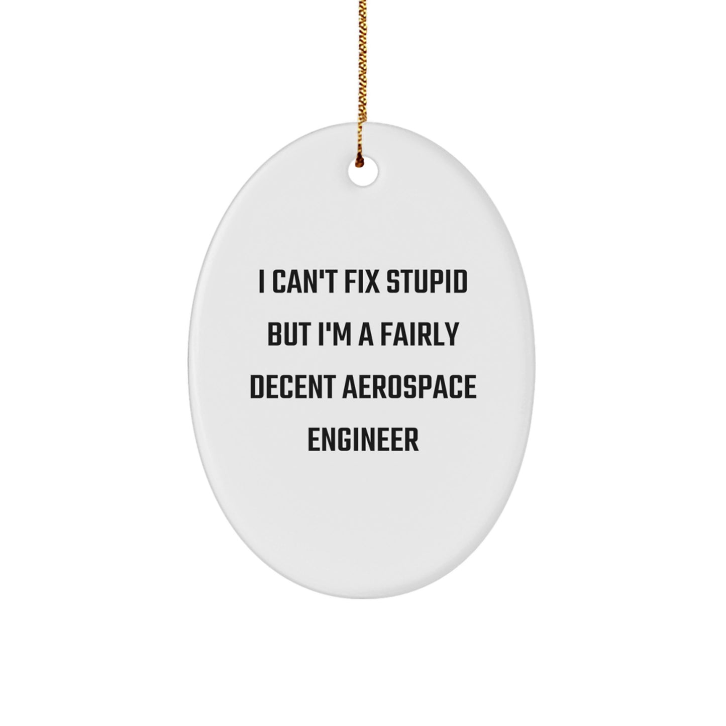 Funny Aerospace Engineer Gifts for Men, Oval Ornament, I Can't Fix Stupid But I'm A Fairly Decent Aerospace Engineer Christmas Unique Gifts - Image 1