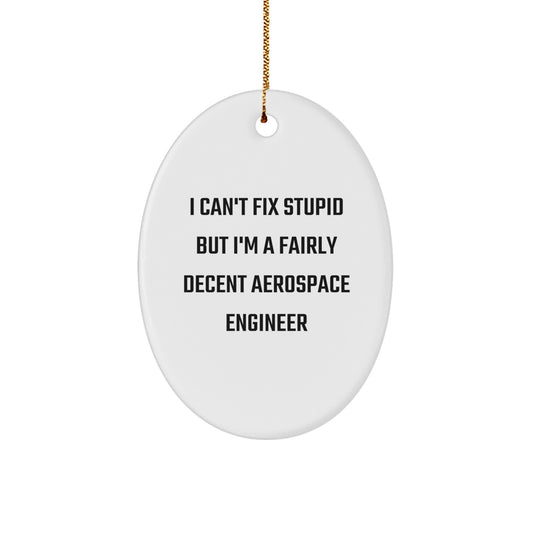 Funny Aerospace Engineer Gifts for Men, Oval Ornament, I Can't Fix Stupid But I'm A Fairly Decent Aerospace Engineer Christmas Unique Gifts - Image 1