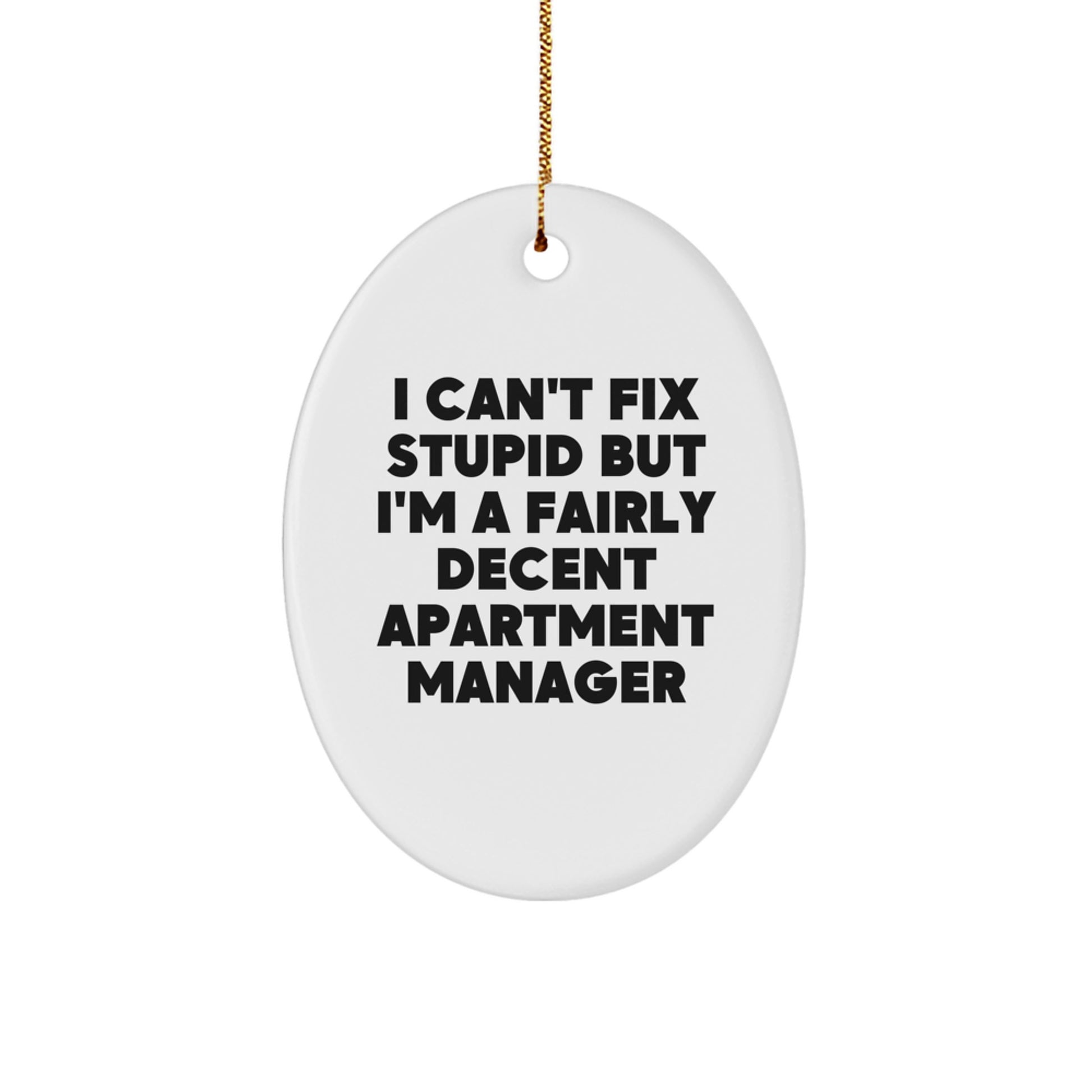 Funny Apartment Manager Gifts for Office Christmas Unique Decor Oval Ornament Gifts from Friends - Image 1