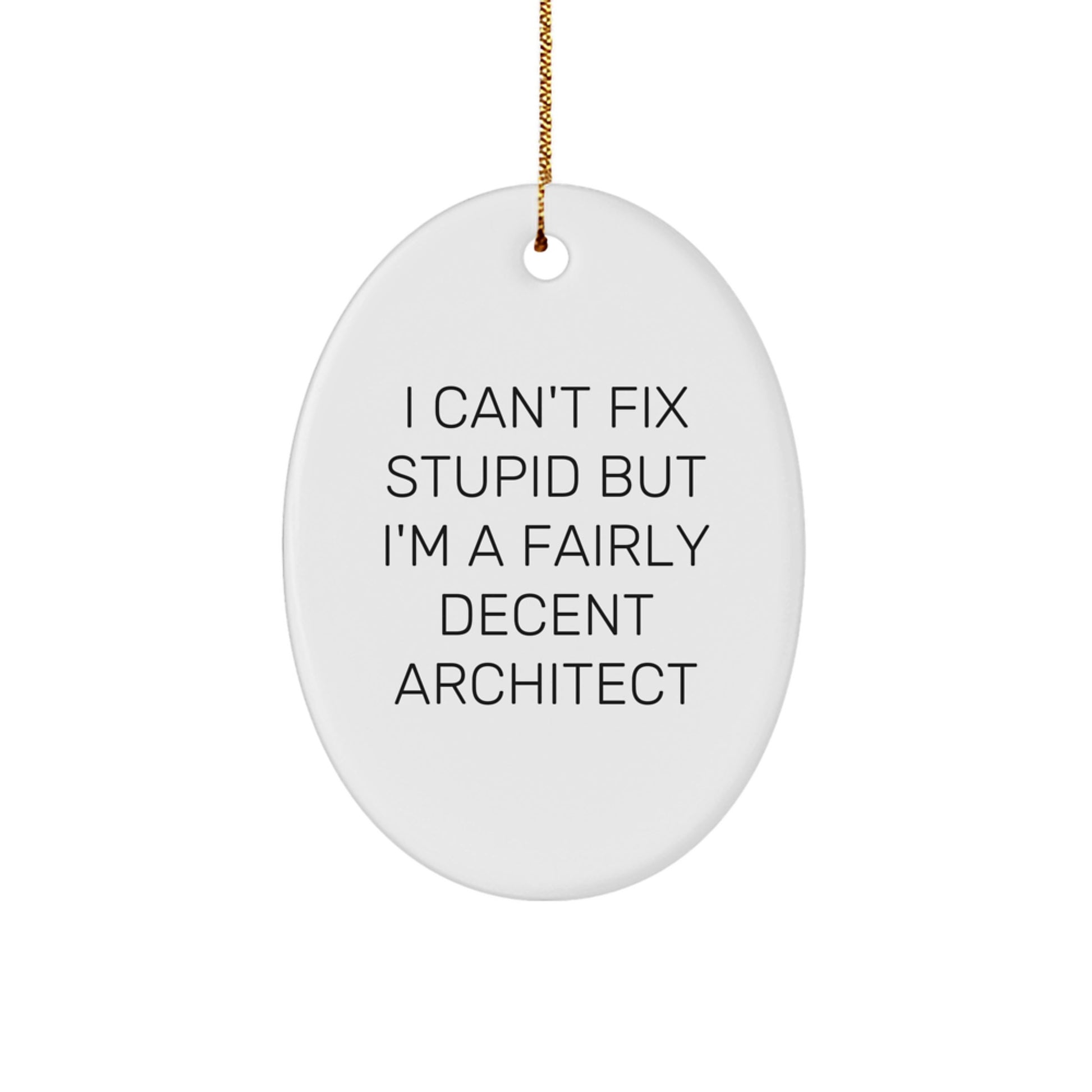 Funny Architect Birthday Unique Gifts for Men - Oval Ornament I Can't Fix Stupid But I'm A Fairly Decent Architect - Unique Gift Ideas for Coworkers - Christmas Unique Gifts from Friends - Image 1