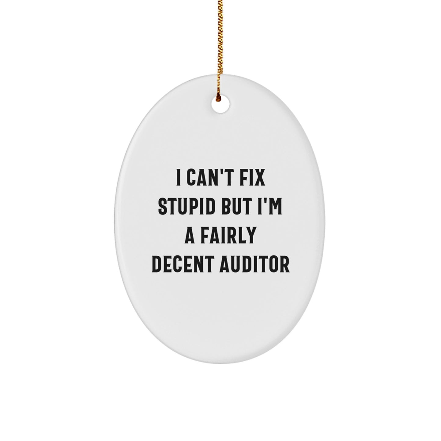 Auditor Oval Ornament for Family Christmas Unique Gift Can't Fix Stupid - Image 1