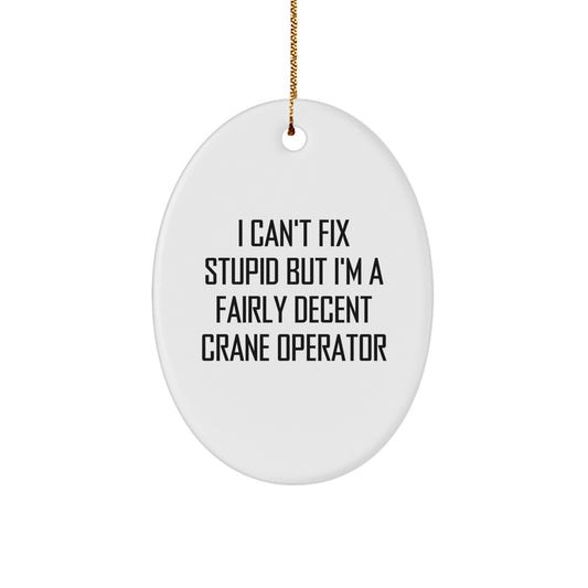 Funny Crane Operator Gifts from Friends for Men - Oval Ornament I Cant Fix Stupid But Im A Decent Crane Op - Image 1