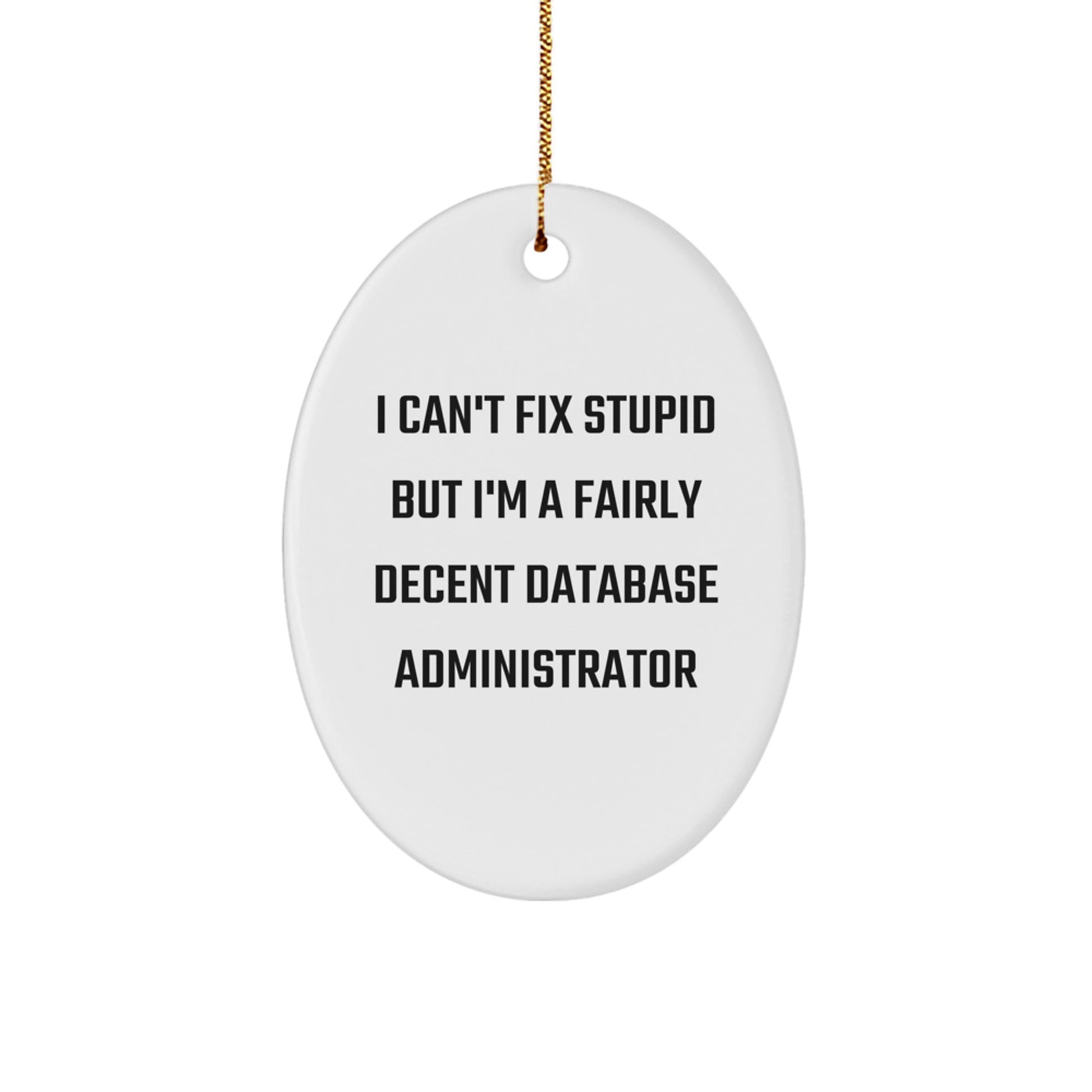 Funny Database Administrator Gifts for Men, Oval Ornament, Christmas Unique Gifts from Friends, Coworkers, Family - Image 1