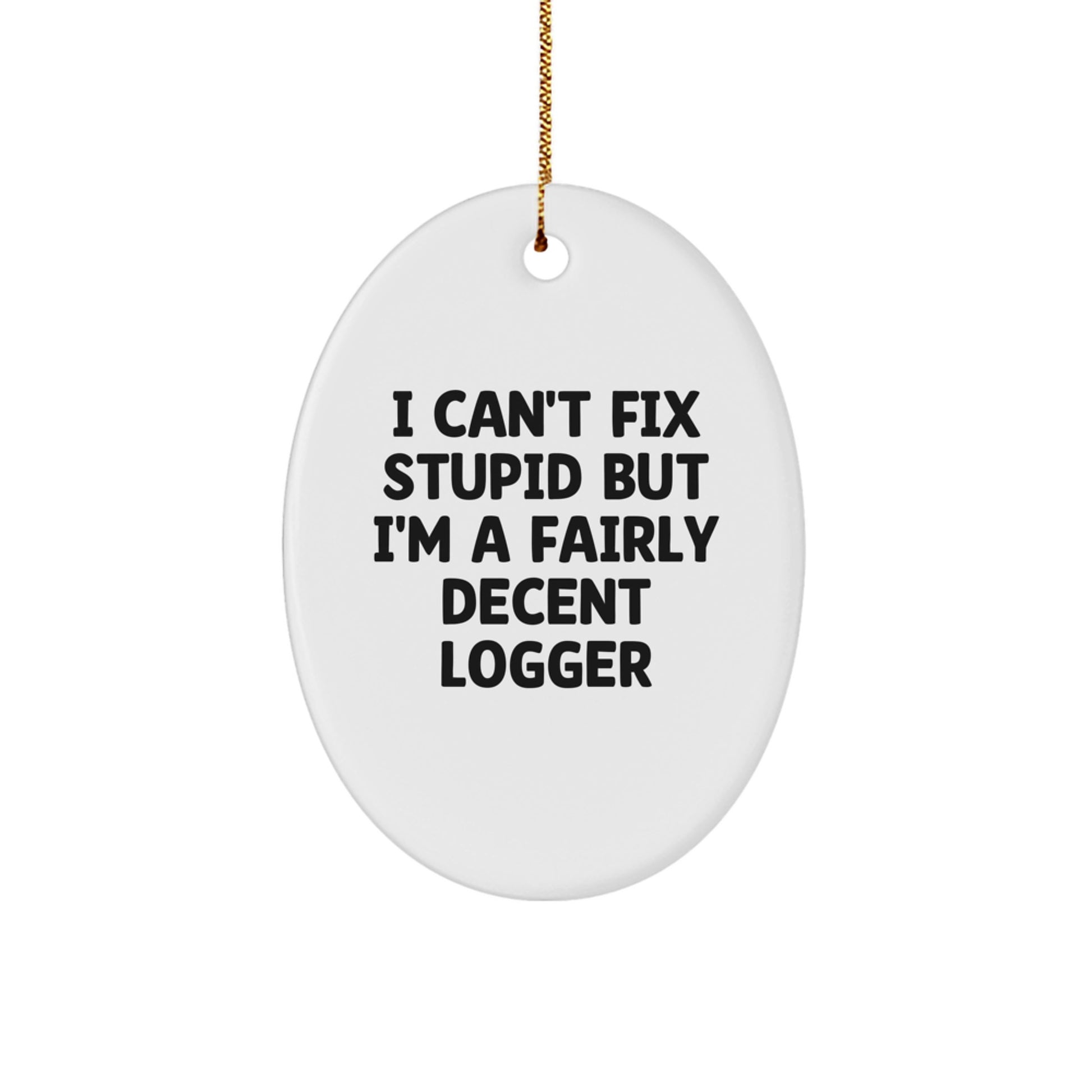 MDF Logger Christmas Ornament for Coworkers I Can't Fix Stupid Gift - Image 1