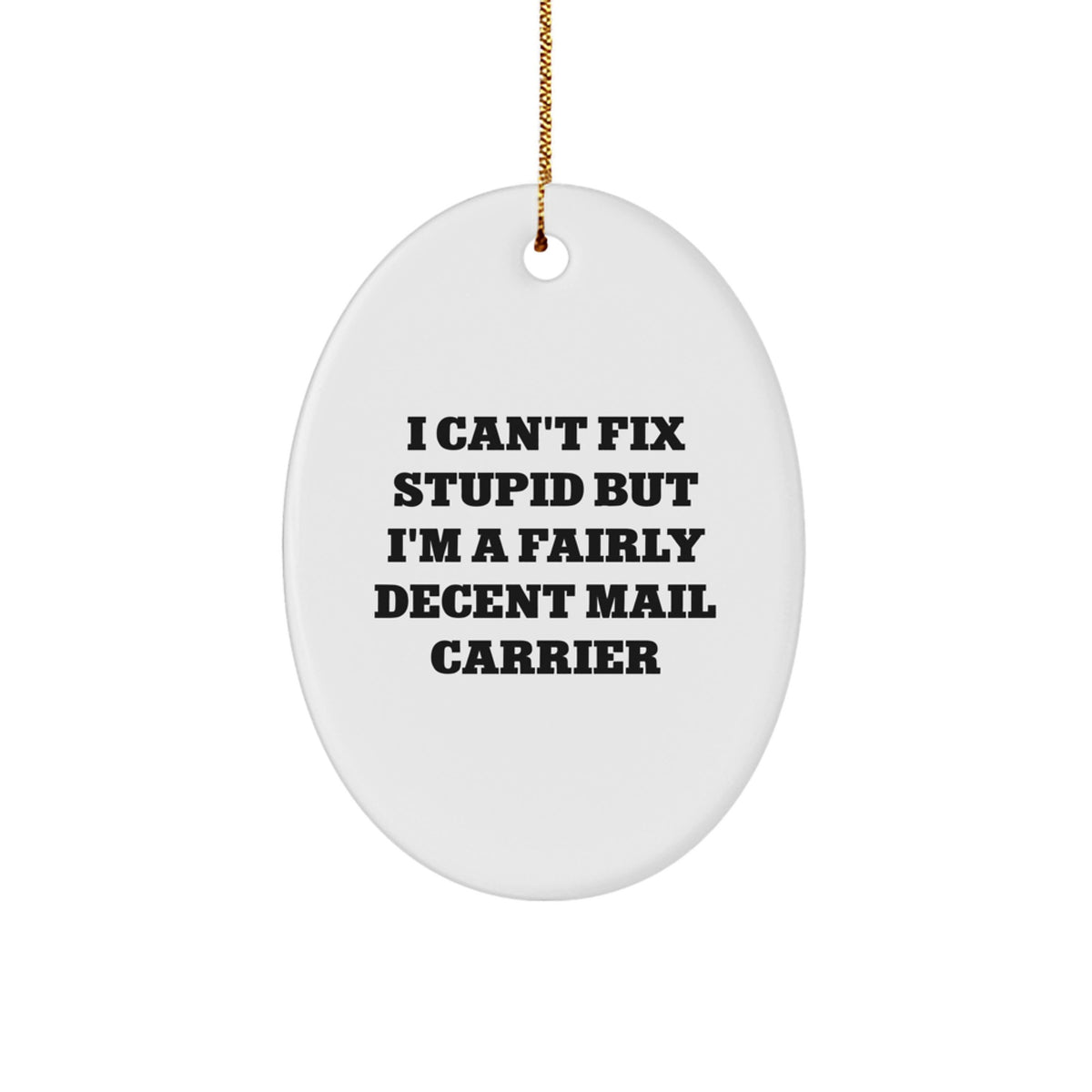 Mail Carrier Keepsake Christmas Unique Gift for Him I Can't Fix Stupid - Image 1