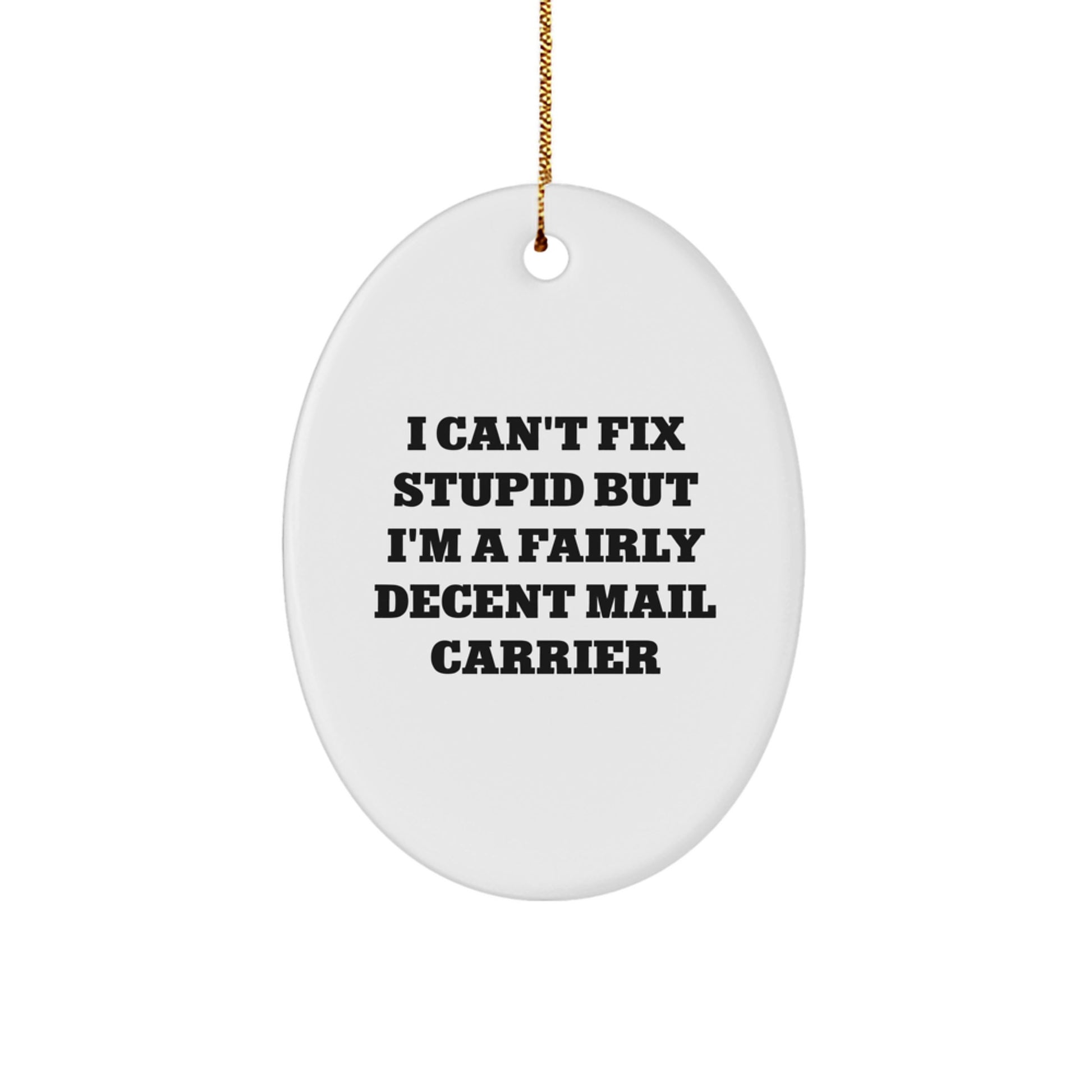 Mail Carrier Keepsake Christmas Unique Gift for Him I Can't Fix Stupid - Image 1