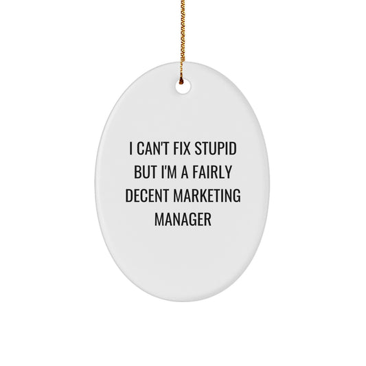 Funny Marketing Manager Oval Ornament Gifts from Friends for Christmas - I Can't Fix Stupid - Image 1