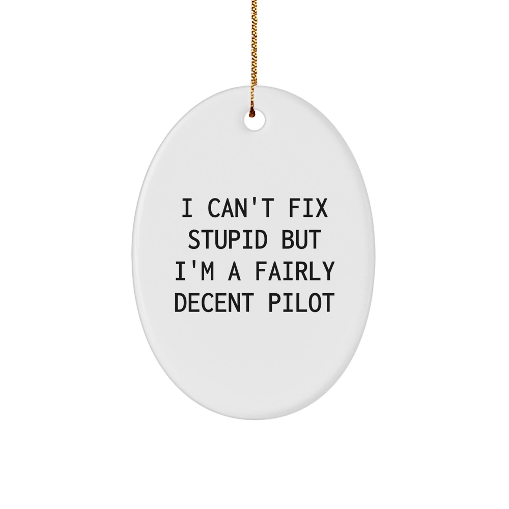 Pilot Gifts from Men to Men - Oval Ornament with Funny Quote 'I Can't Fix Stupid But I'm A Fairly Decent Pilot' for Christmas - Image 1