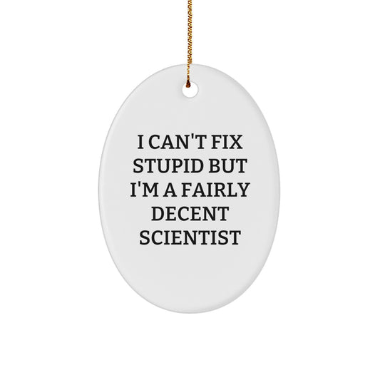 Funny Scientist Gifts I Can't Fix Stupid But I'm A Fairly Decent Ornament for Christmas - Image 1