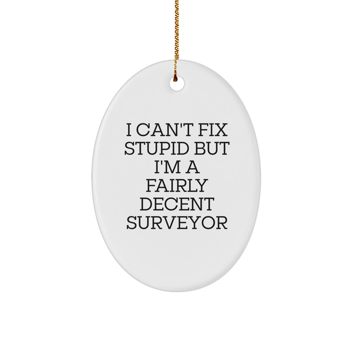 For Him Keepsake Surveyor Christmas Ornament I Can't Fix Stupid Gift - Image 1