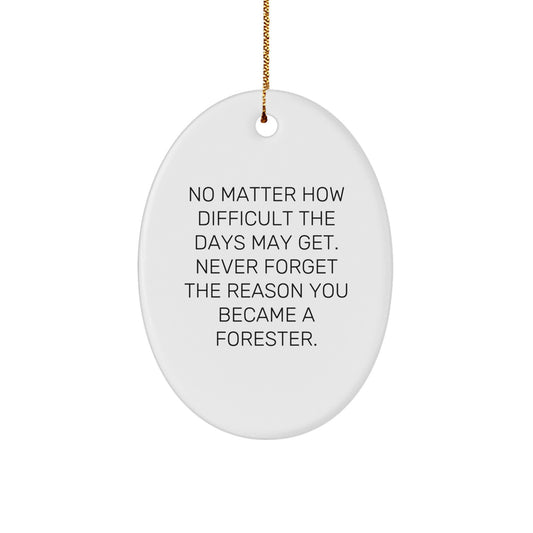 Funny Forester Gifts from Men for Christmas Unique Gifts, Oval Ornament, 'No Matter How Difficult The Days May Get. Never Forget The Reason You Became A Forester.', Forester Lover Gifts for Forester - Image 1