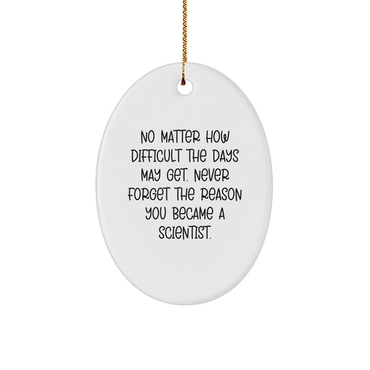Funny Oval Ornament for Scientist Gifts from Friends to Family - Never Forget the Reason - Image 1