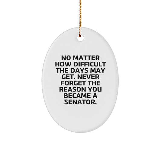 Inspirational Senator Oval Ornament Gifts from Friends for Christmas - Never Forget The Reason You Became A Senator - Senator Gifts for Men Women Family Coworkers - Image 1