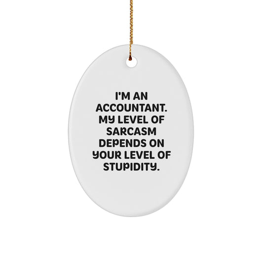 Funny Accountant Quotes Oval Ornament Gifts from Men for Women Friends Coworkers Christmas Unique Gifts - Image 1