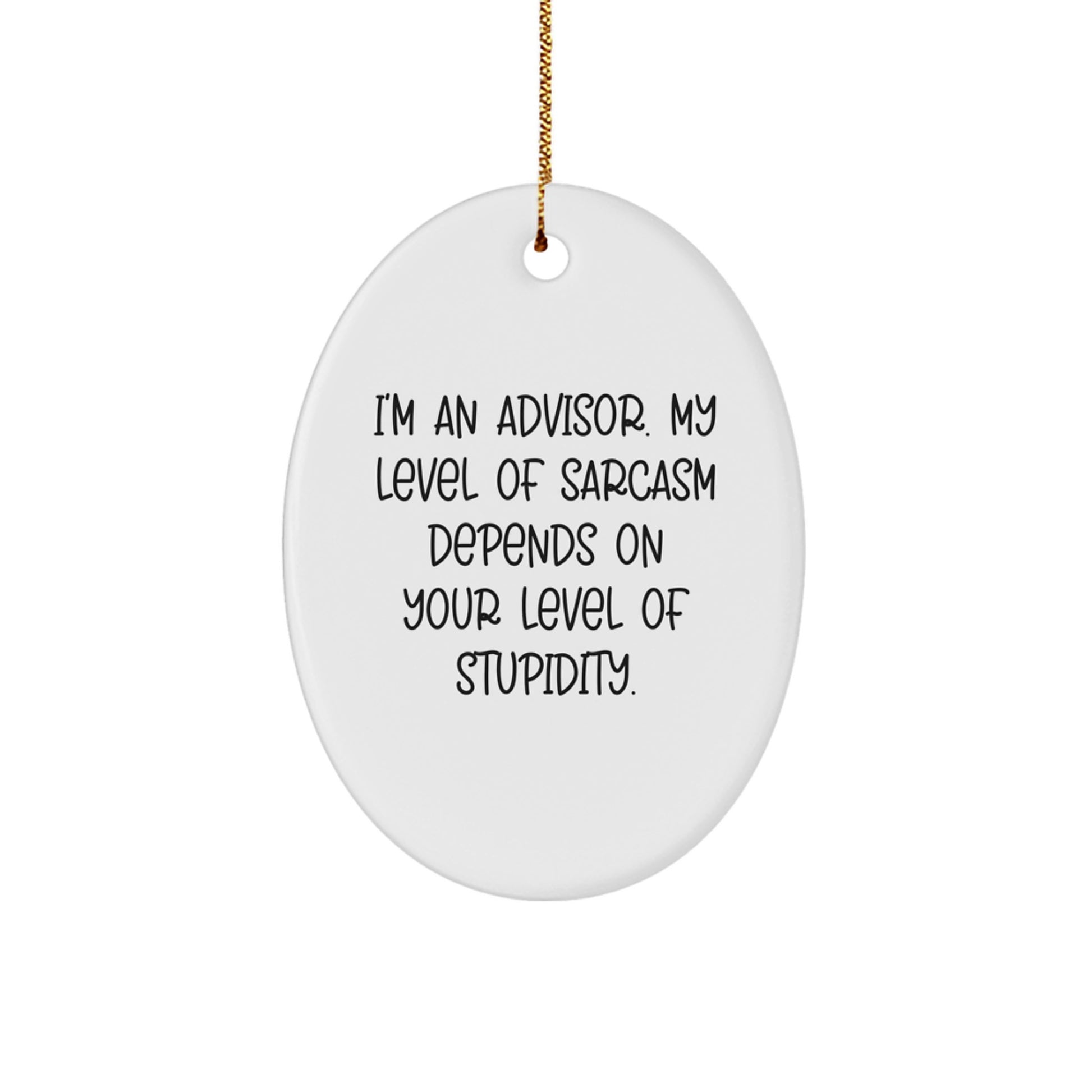 Christmas Unique Gift for Her Advisor Oval Ornament Sarcasm Present - Image 1