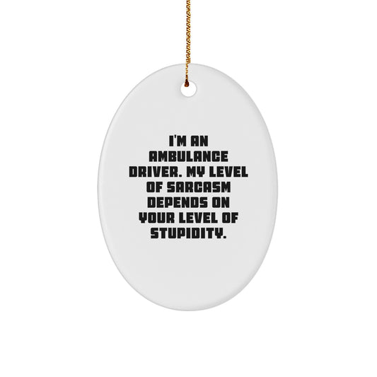 Ambulance Driver Sarcasm Gifts, Oval Ornament for Ambulance Driver, Funny Christmas Unique Gifts from Friends for Ambulance Driver Men - Image 1