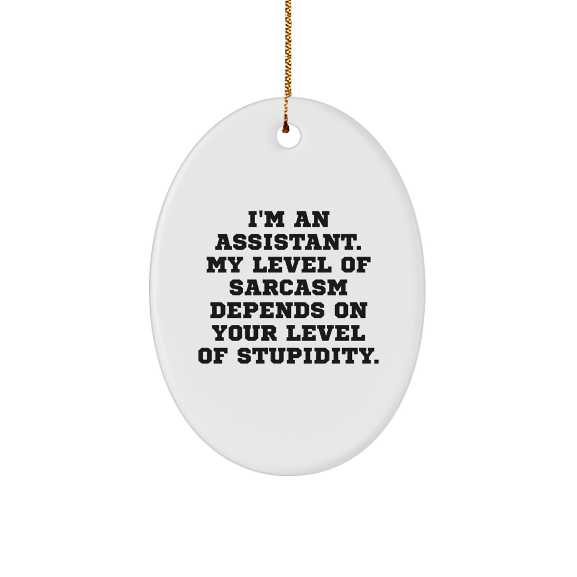 Funny Assistant Gifts for Christmas, I'm An Assistant Oval Ornament with Sarcasm Quote, Gifts from Friends, Coworkers, Family - Image 1
