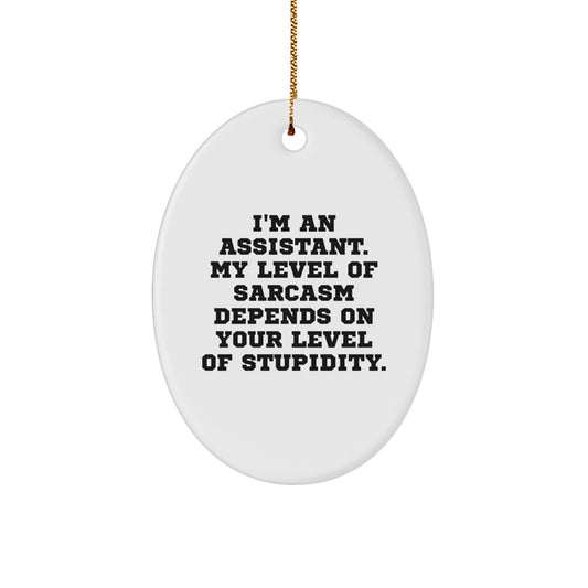 Funny Assistant Gifts for Christmas, I'm An Assistant Oval Ornament with Sarcasm Quote, Gifts from Friends, Coworkers, Family - Image 1
