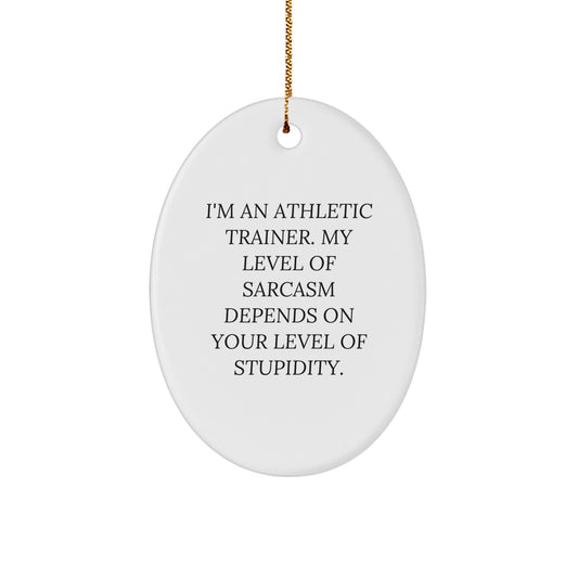 Funny Athletic Trainer Gifts from Friends - Oval Ornament with 'I'm An Athletic Trainer. My Level Of Sarcasm Depends On Your Level Of Stupidity.' Quote for Christmas - Image 1