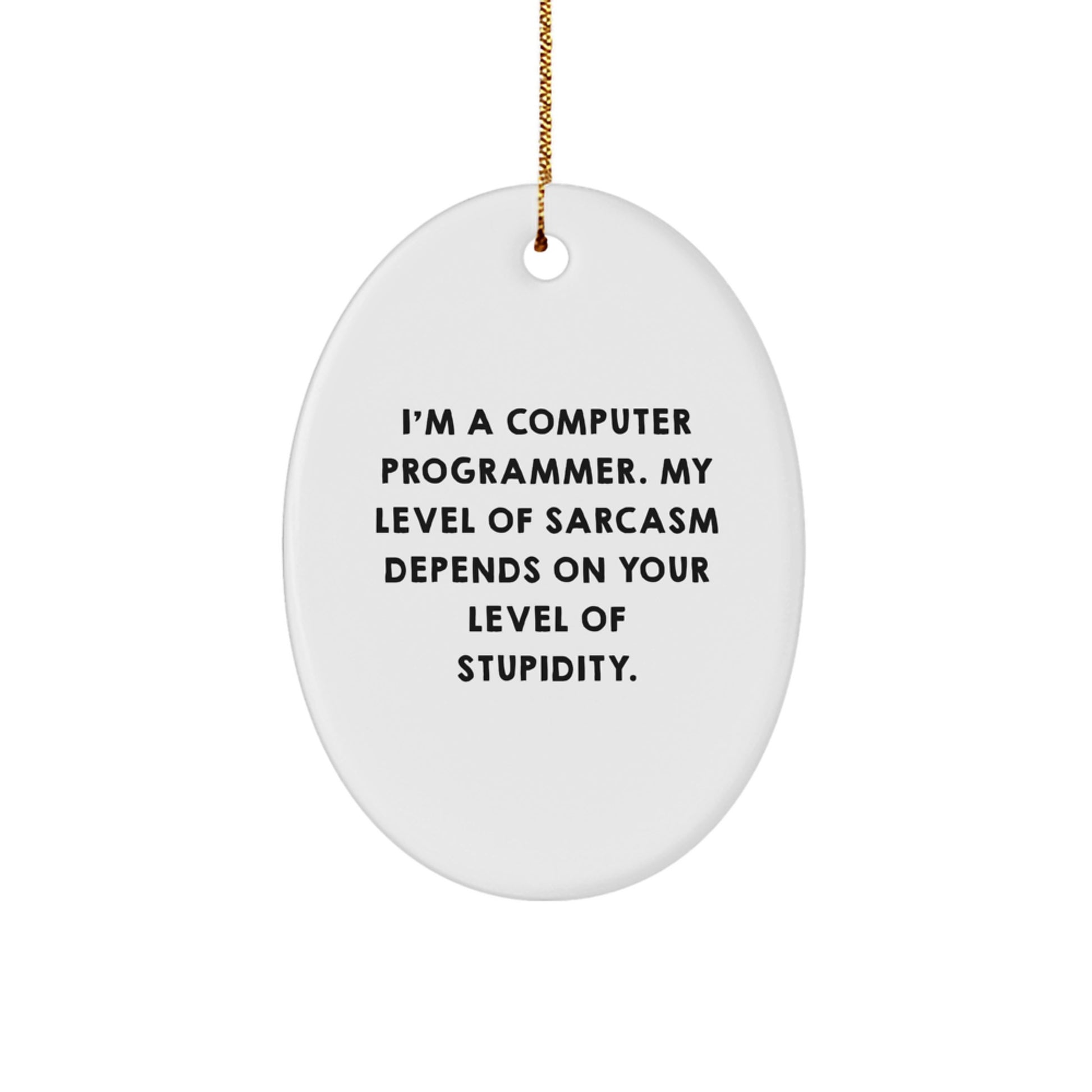 Funny Computer Programmer Gifts from Friends - Oval Ornament Idea for Men - I'm A Computer Programmer Gift for Christmas - Image 1