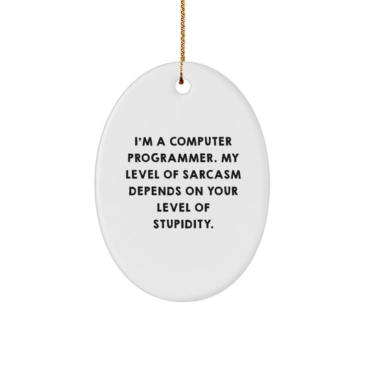 Funny Computer Programmer Gifts from Friends - Oval Ornament Idea for Men - I'm A Computer Programmer Gift for Christmas - Image 1