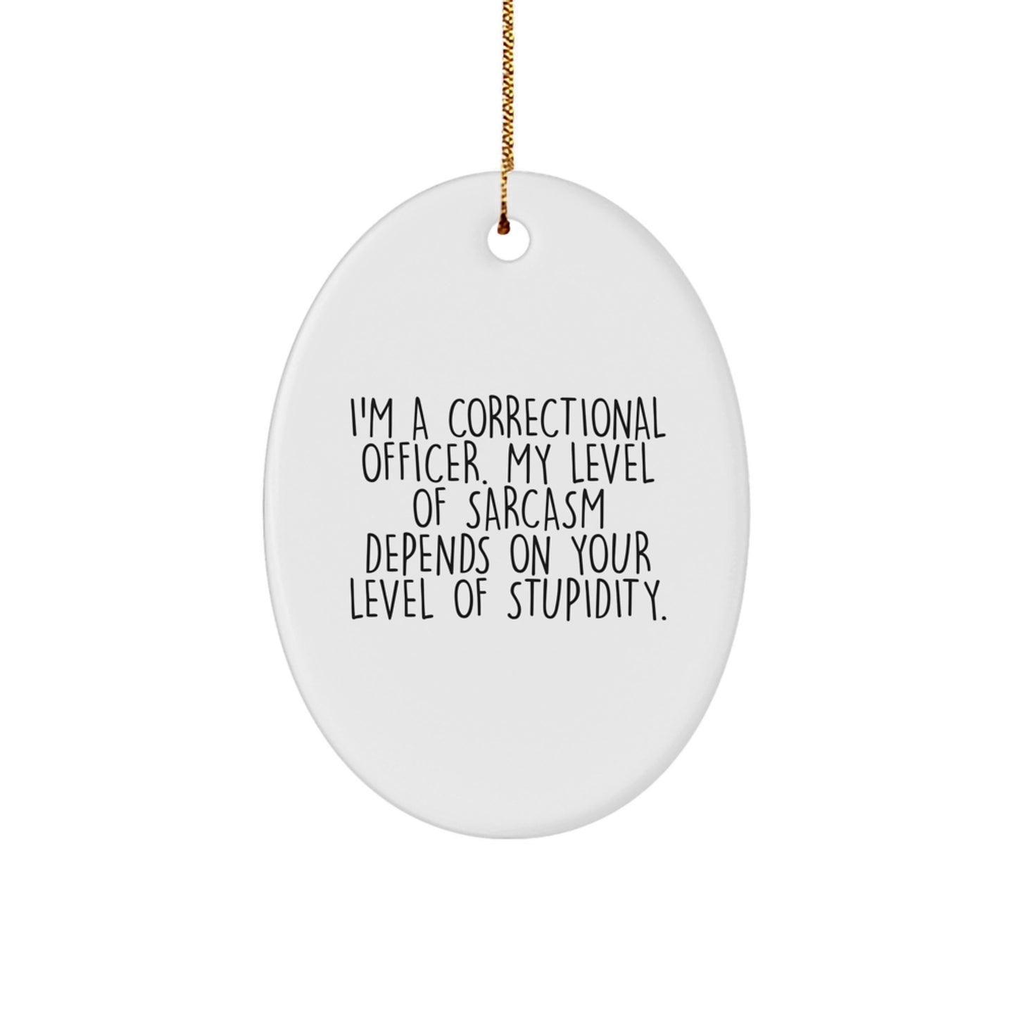 Funny Correctional Officer Gifts for Men, Oval Ornament - I'm A Correctional Officer, My Sarcasm Depends On Your Level Of Stupidity, Christmas Unique Gifts from Friends, Family - Image 1