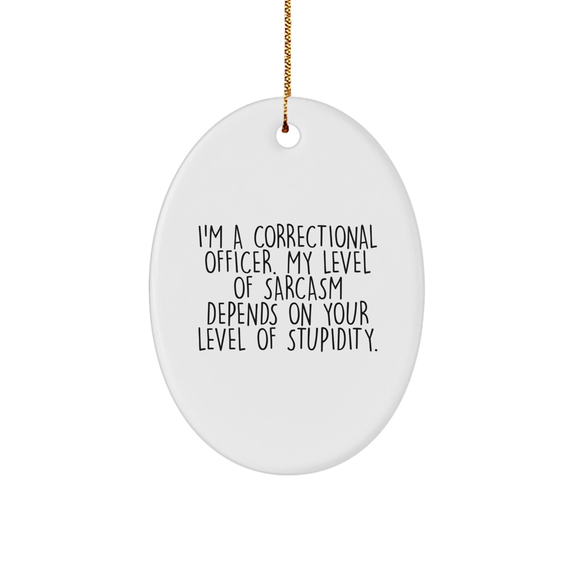 Funny Correctional Officer Gifts for Men, Oval Ornament - I'm A Correctional Officer, My Sarcasm Depends On Your Level Of Stupidity, Christmas Unique Gifts from Friends, Family - Image 1