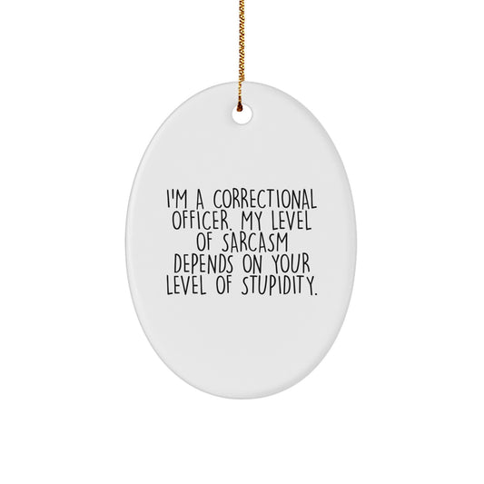 Funny Correctional Officer Gifts for Men, Oval Ornament - I'm A Correctional Officer, My Sarcasm Depends On Your Level Of Stupidity, Christmas Unique Gifts from Friends, Family - Image 1