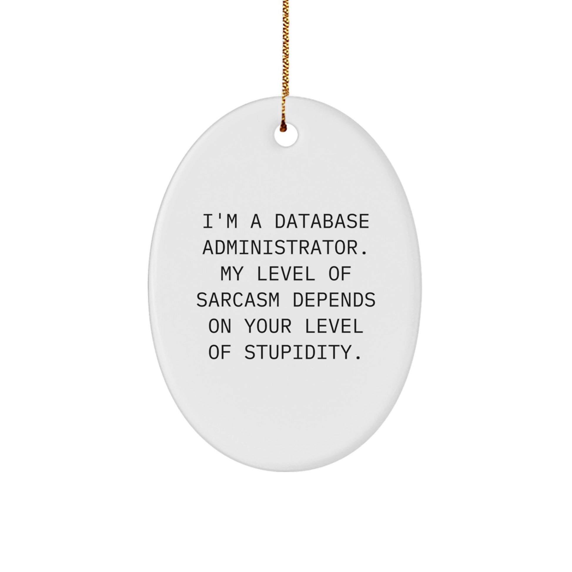 Sassy Database Administrator Oval Ornament, Funny Quote Gifts from Friends for Men, Unique Christmas Unique Gifts for Coworkers, 'I'm a Database Administrator' - Image 1