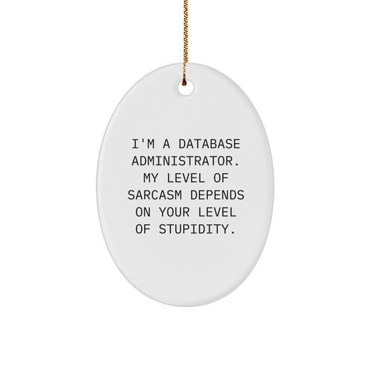 Sassy Database Administrator Oval Ornament, Funny Quote Gifts from Friends for Men, Unique Christmas Unique Gifts for Coworkers, 'I'm a Database Administrator' - Image 1