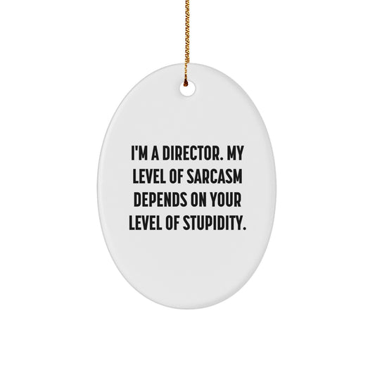 Funny Director Gifts from Friends Unique Oval Ornament for Director Christmas Unique Gifts - Image 1